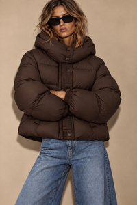 Castanho chocolate