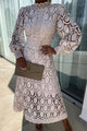 Elegant Lace Dress